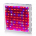 Фитосветильник LED x-SUNRISE 1600W